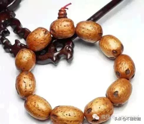 最不常见的菩提,10年以上的菩提