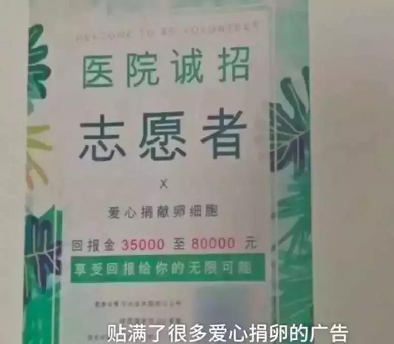 裸贷女生案件真实背后的心理问题,被逼死的网贷女孩