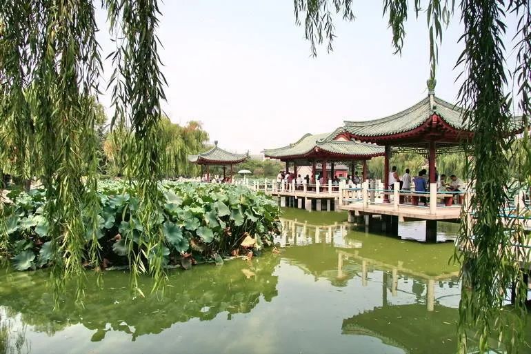 潍坊的私家园林,潍坊自怡园有哪些景点