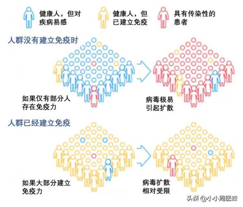 群体免疫到底靠谱吗,欧美的群体免疫政策的合理性