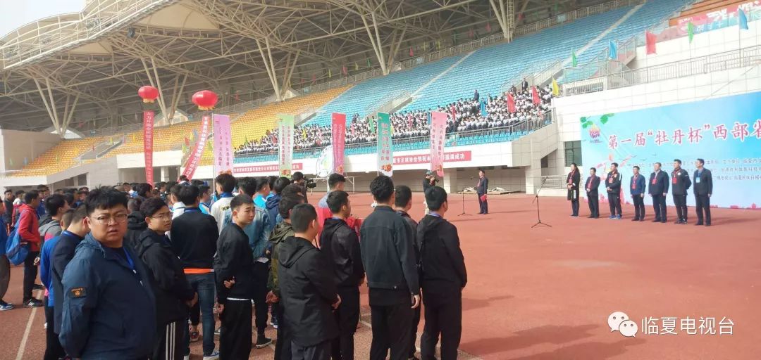 牡丹杯锦标赛,北京牡丹杯足球赛