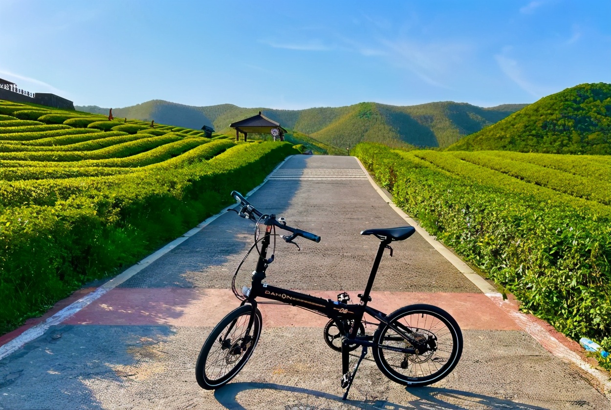 又一新晋网红打卡地,新晋绝美打卡地