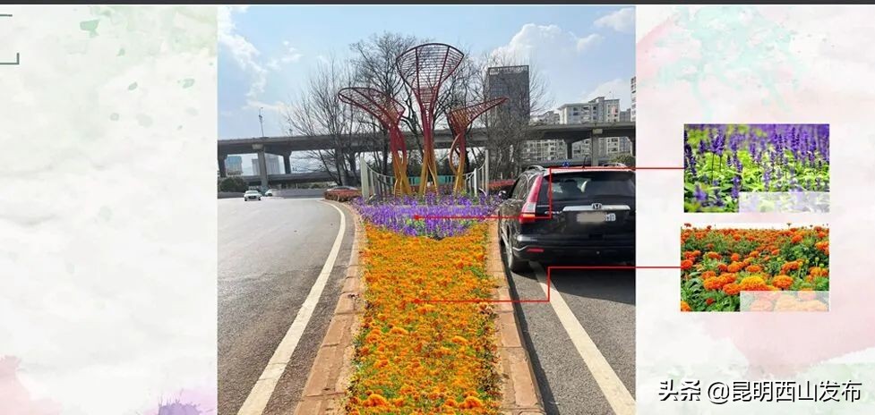 昆明立体花坛最好看的几个,美丽春城立体花坛