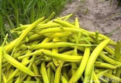 天下第一黄土高原,天下第一黄土高原是哪里