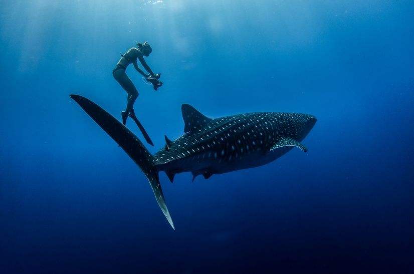 潜水技巧为什么要保持中性浮力,潜水十大黄金规则