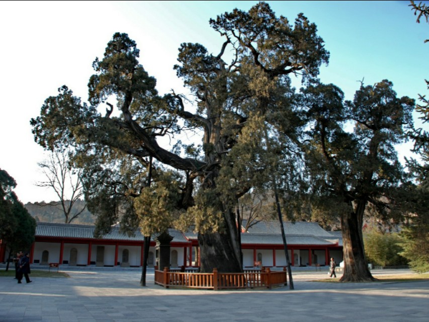 陕西省最有历史文化的县城,陕西历史文化名城有几个