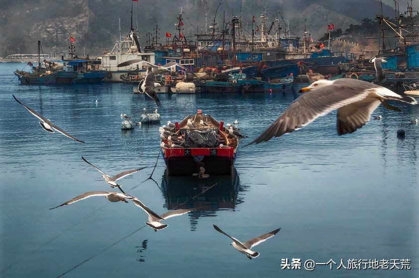 厦门海滨老城旅游,厦门最美海滨城