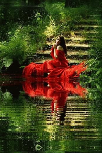 海边水中玫瑰花图片高清大图,最美山水花草倒影图片