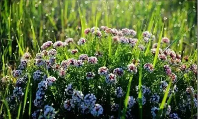 通辽好玩的景点排行榜,通辽霍林河景色