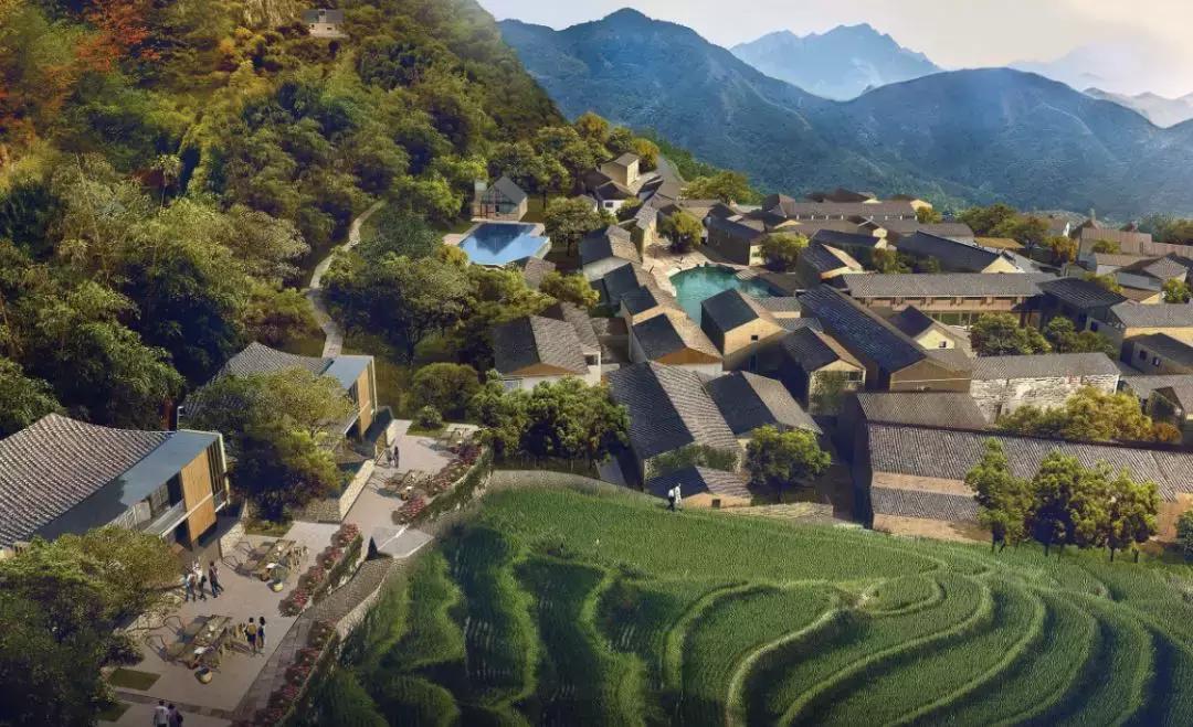 品智案例｜栖隐·大安民宿项目全案生态系统的突破