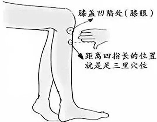 三伏灸温经通络,三伏艾灸胜人参