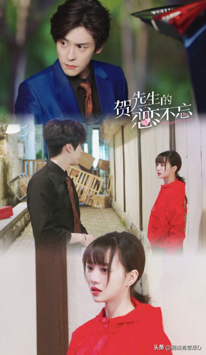 贺先生的恋恋不忘百科,一口气带你看完贺先生的恋恋不忘