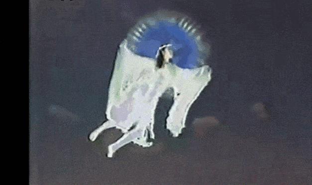 傅艺伟从最美妲己到阶下囚,傅艺伟妲己阶下囚