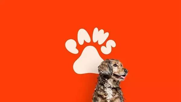 2021哪些品牌换了logo,标志新logo发布会