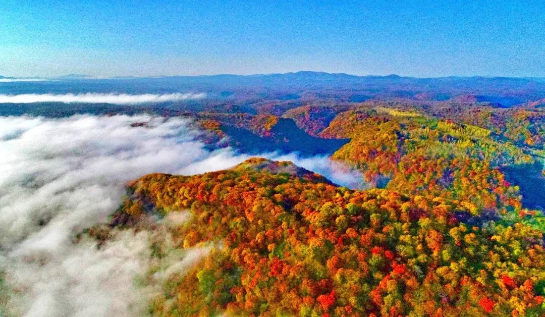 林业生态旅游科普,林草科普