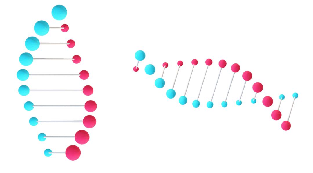 ppt如何制作3d地球旋转动画,ppt中dna双螺旋怎么画