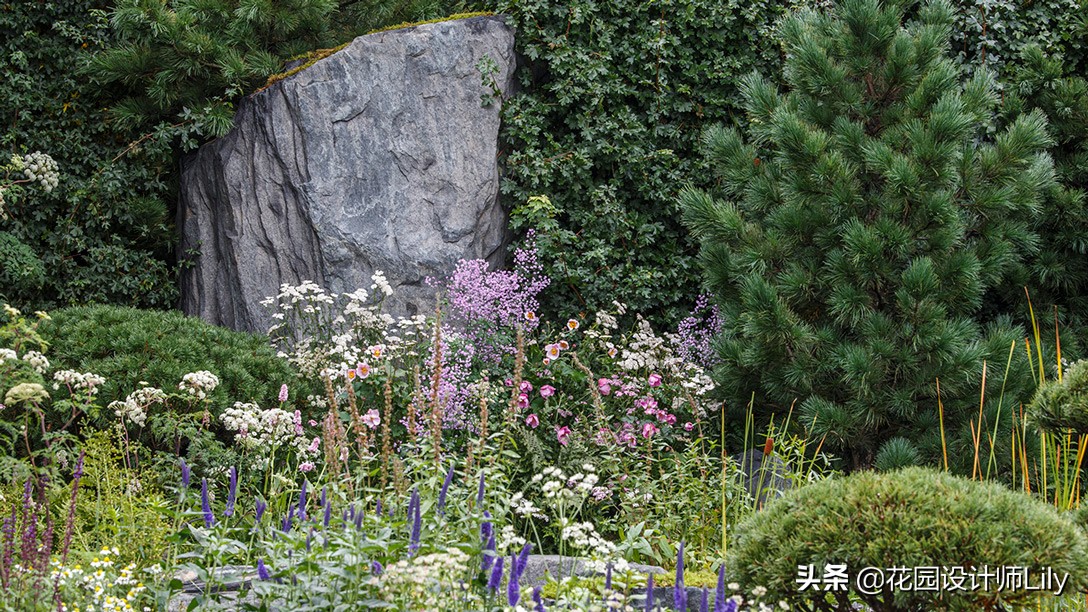 2023年切尔西花展各个花园的介绍,切尔西花展最佳花园