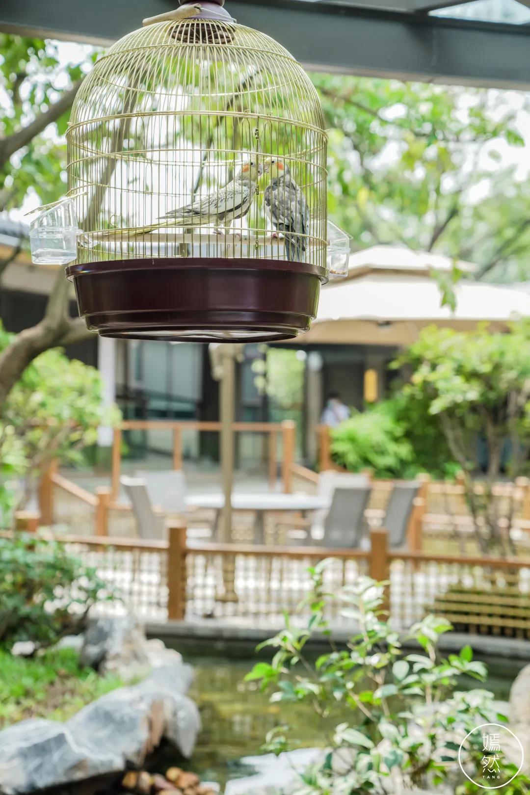 东莞水濂山园林,东莞水濂山湖面风景