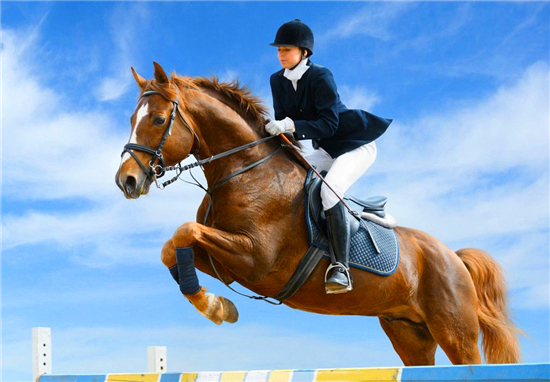 赛马投资技巧,赛马失误怎么处理