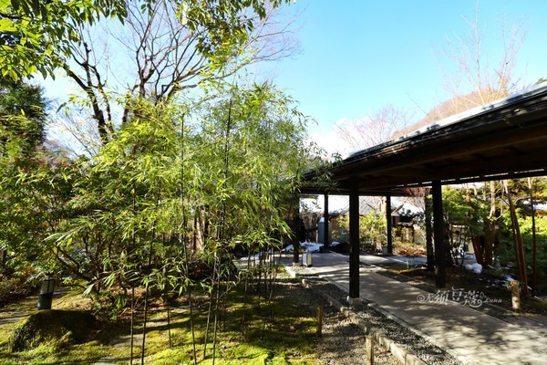 冬日乐趣排行,东京冬季旅游攻略一日游