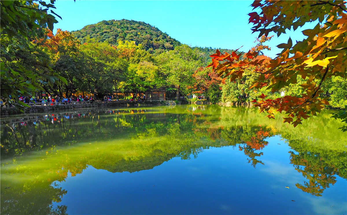 秋天苏州游玩,苏州旅游攻略秋天