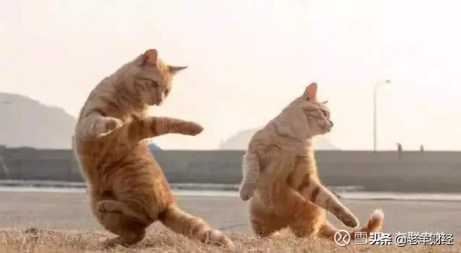 炒股逻辑思路图,趣谈炒股对一个人的改变