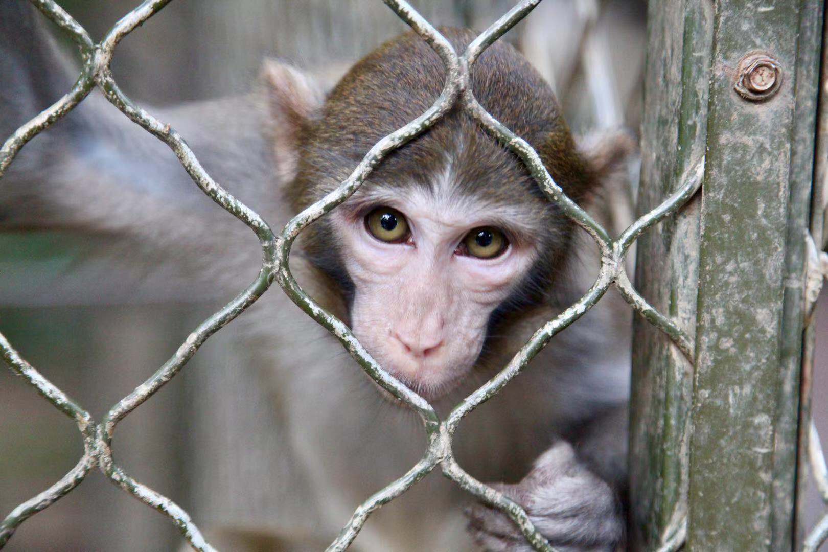 海南自驾游最美线路推荐,海南旅游攻略自驾最佳线路推荐