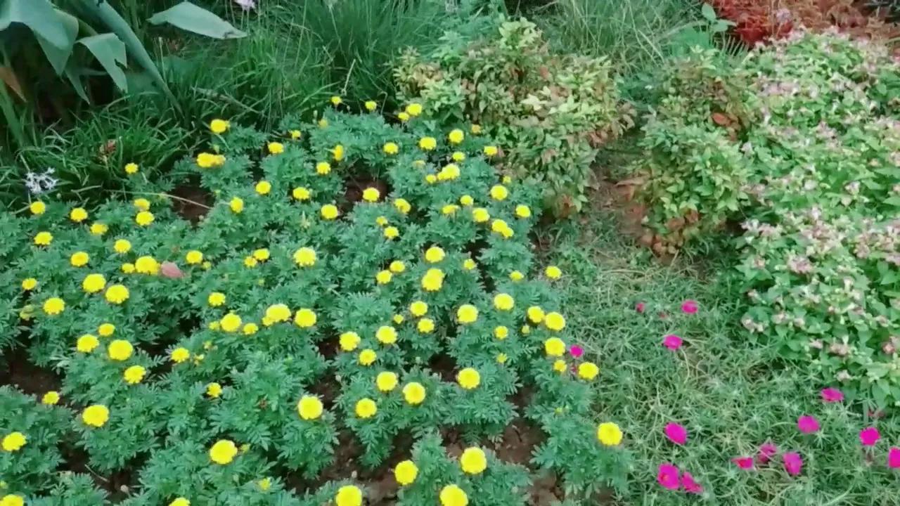 如何用一句话形容生产,怀孕到生产的辛苦与喜悦