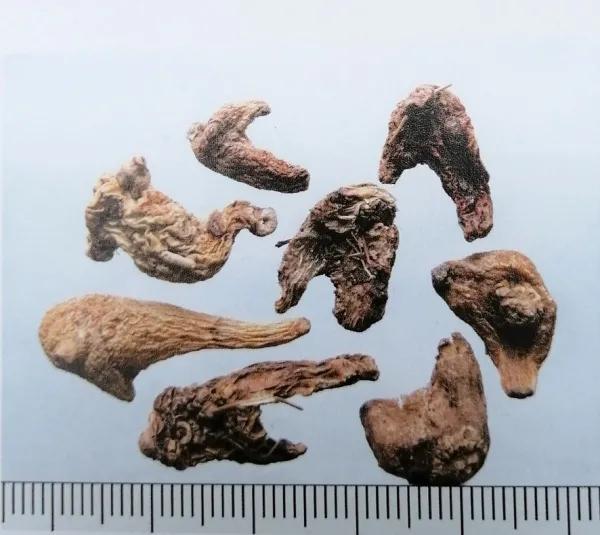 收敛止血的中成药有哪些,止血收敛的药有哪些