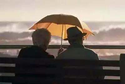 送礼小众又高级的礼物,适合人多又有诚意的礼物推荐