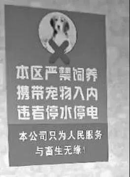 这个12年一轮回的狗年，可能对狗不太友好