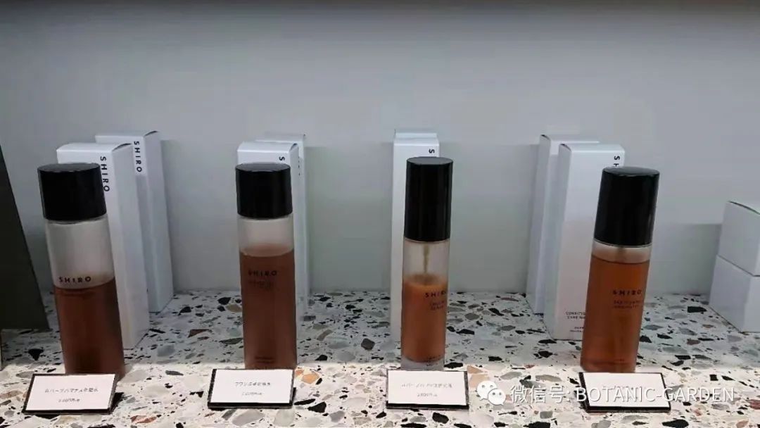 A-Z理研理化研究所简介