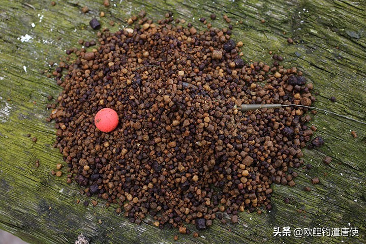 外国人钓鱼打窝技巧,老外用超大饵钓鱼