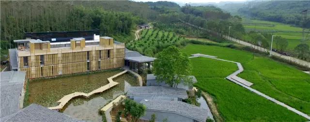 广州增城区宛若故里稻田里民宿,清远稻田田野民宿
