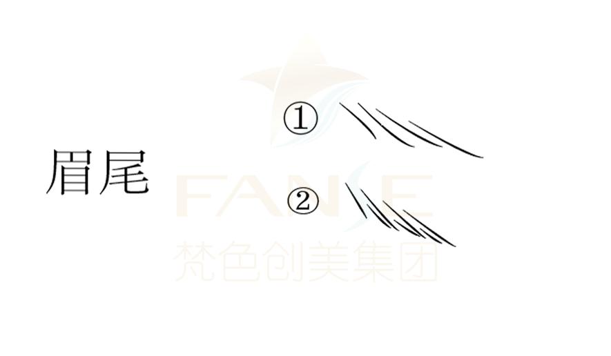 梵娅纹眉视频教程全集,丝雾眉标准眉画法