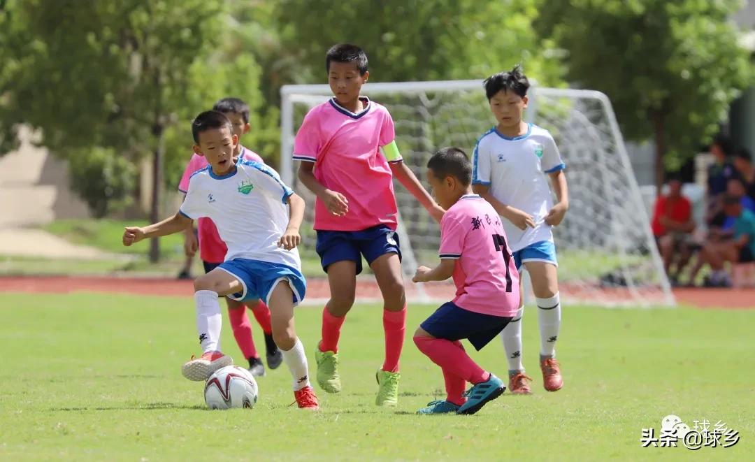 区中小学足球联赛,体教融合杯中学篮球赛