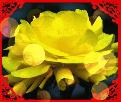 感恩节到了感谢爸爸妈妈的养育,感恩节要到了感谢父亲的养育之恩