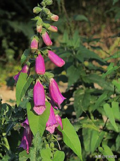 句句入骨的人生感悟个性签名,简短经典精辟走心的个性签名