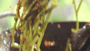 千万别在闲鱼上搜索“美食”，看到结局我笑了