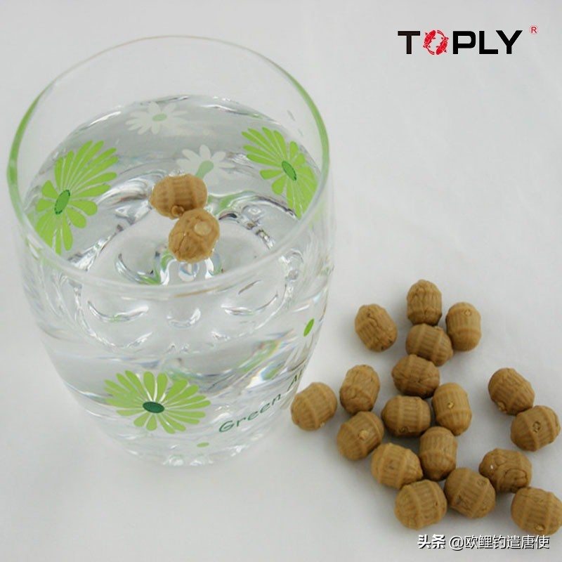 话说欧鲤钓之科学篇,欧鲤钓知识讲解