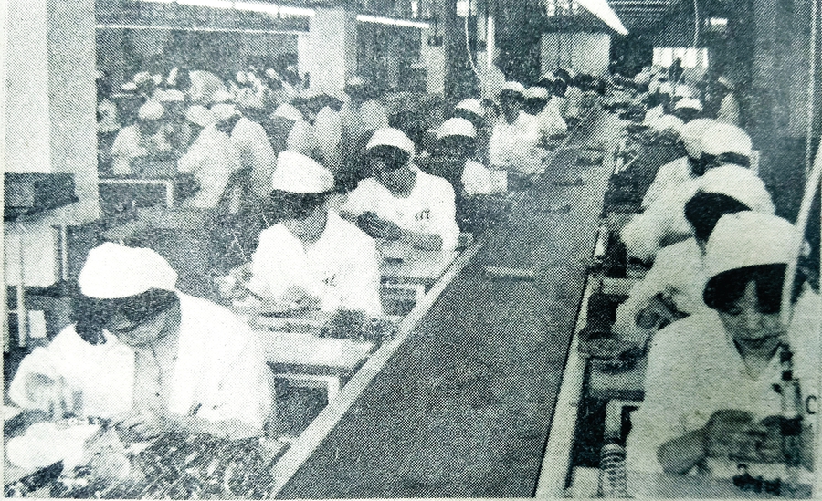 广东惠州市博罗县制衣厂打工回忆,惠州东江工业区老厂回忆