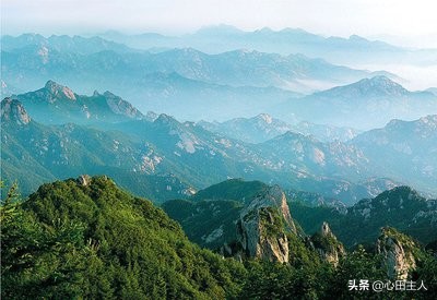 金莲仙史小说简介,金莲仙吏小说免费阅读