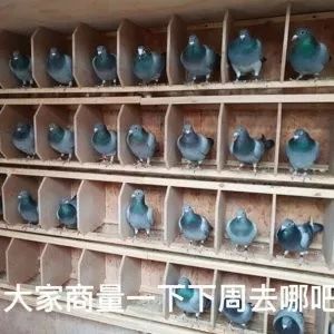 一杯奶茶就能买平价化妆品,国货阿玛尼唇釉