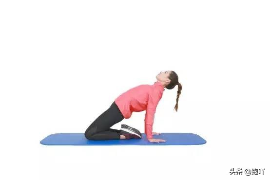 排酸跑和恢复跑有什么区别,马拉松赛后怎样尽快恢复腿痛