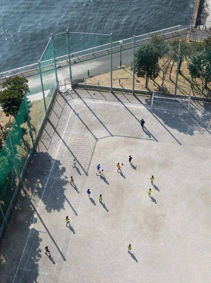 小白新手入手佳能,值得新手入门的佳能