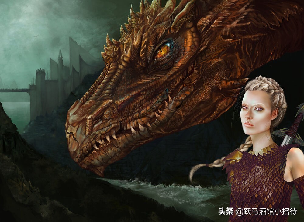 冰与火之歌坎尼会战,冰与火之歌各个家族的分布地