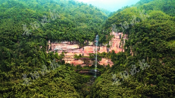 在戈壁探寻恐龙足迹,去原始森林探巡恐龙足迹