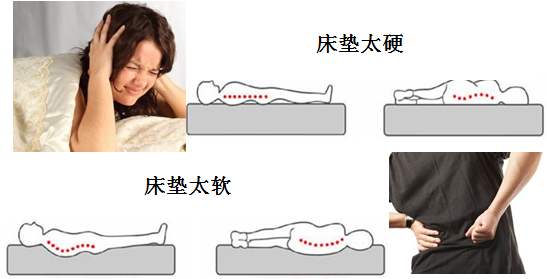 乳胶床垫哪一种好,怎么样的乳胶床垫才是好的