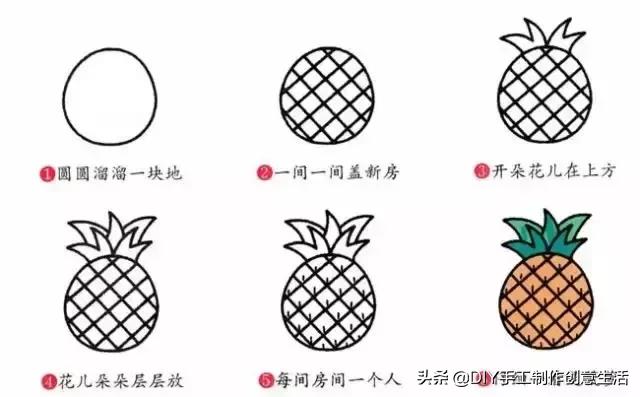 900000种水果简笔画,水果图片大全简笔画小学生