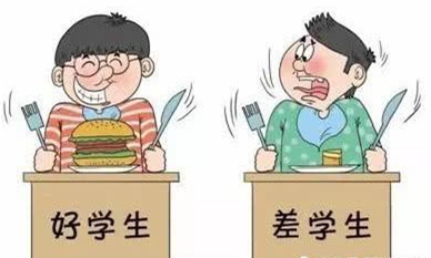 老虎被截肢的动物园,一只老虎被关进动物园被狼救出来